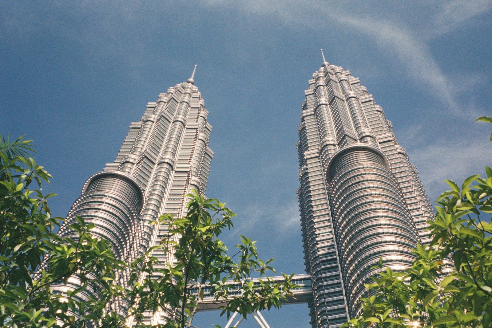 The Petronas Twin Towers and skybridge framed by lush green foliage against a blue sky in Kuala Lumpur